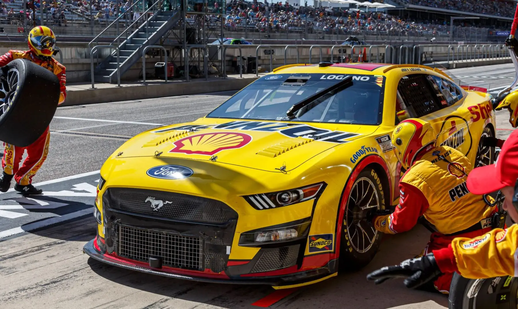 nascar betting guide tips online strategies sites