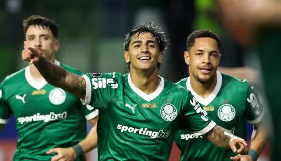palmeiras