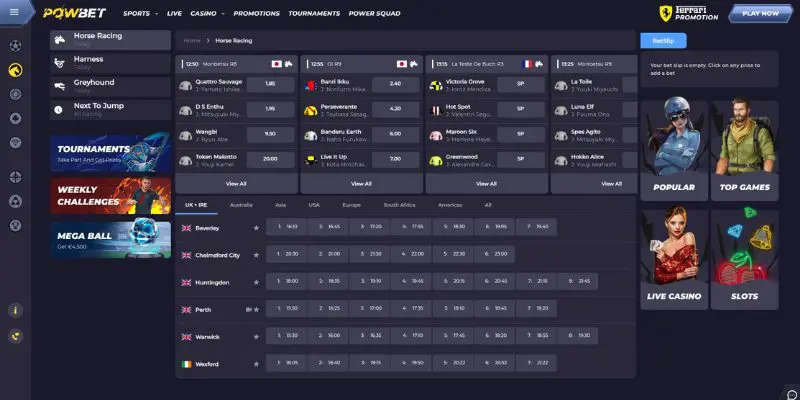 powbet-betting-on-best-horse-racing-bookies