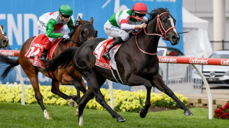 horse racing exotic bets and betting systems