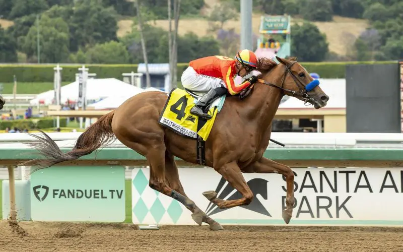 race-horse