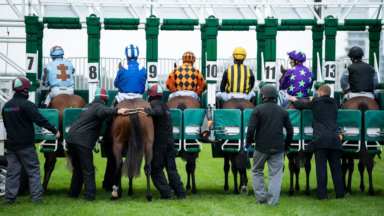 how to bet horses successfully quinella bet