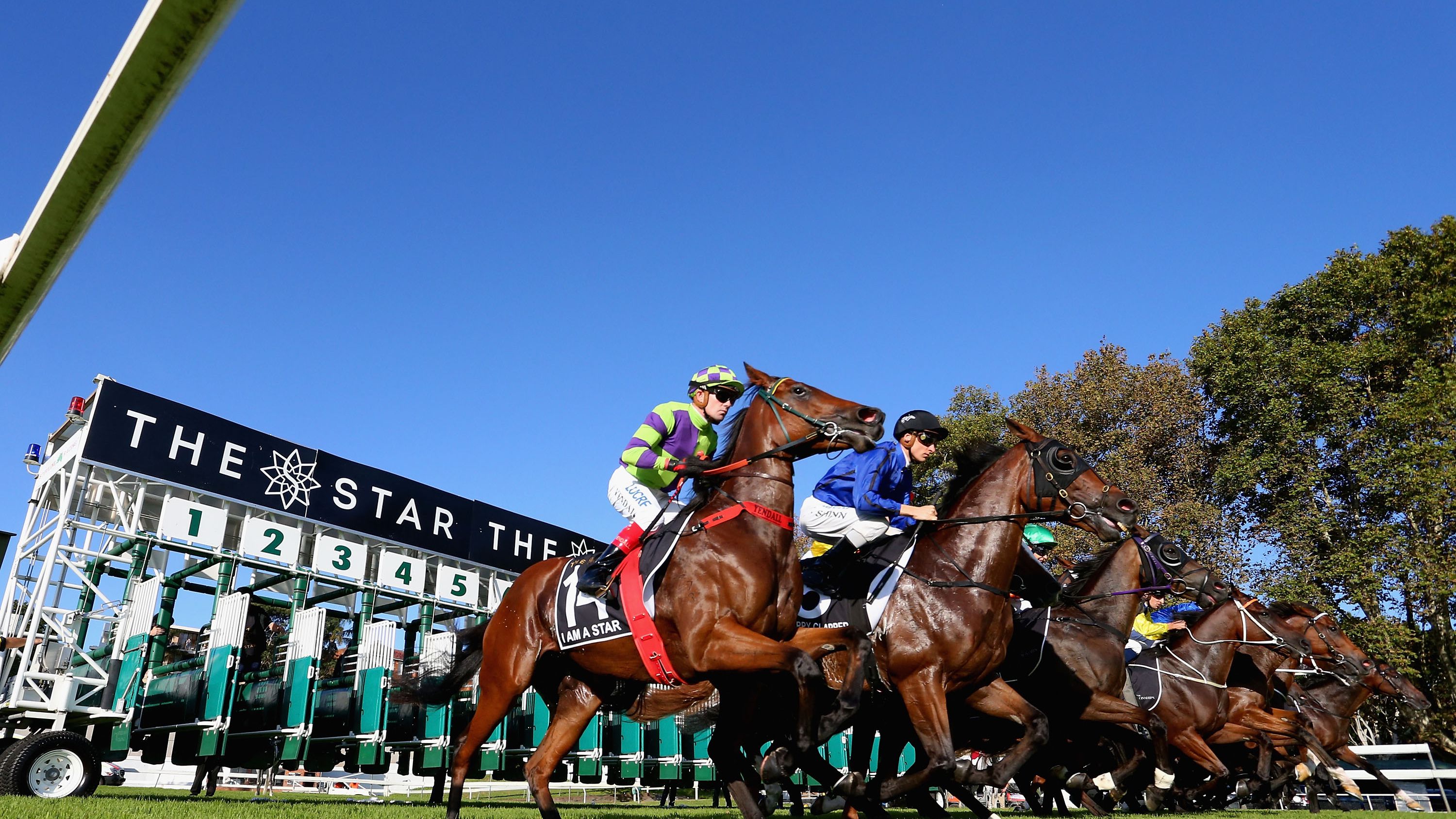 wheel bet horse racing betting strategies