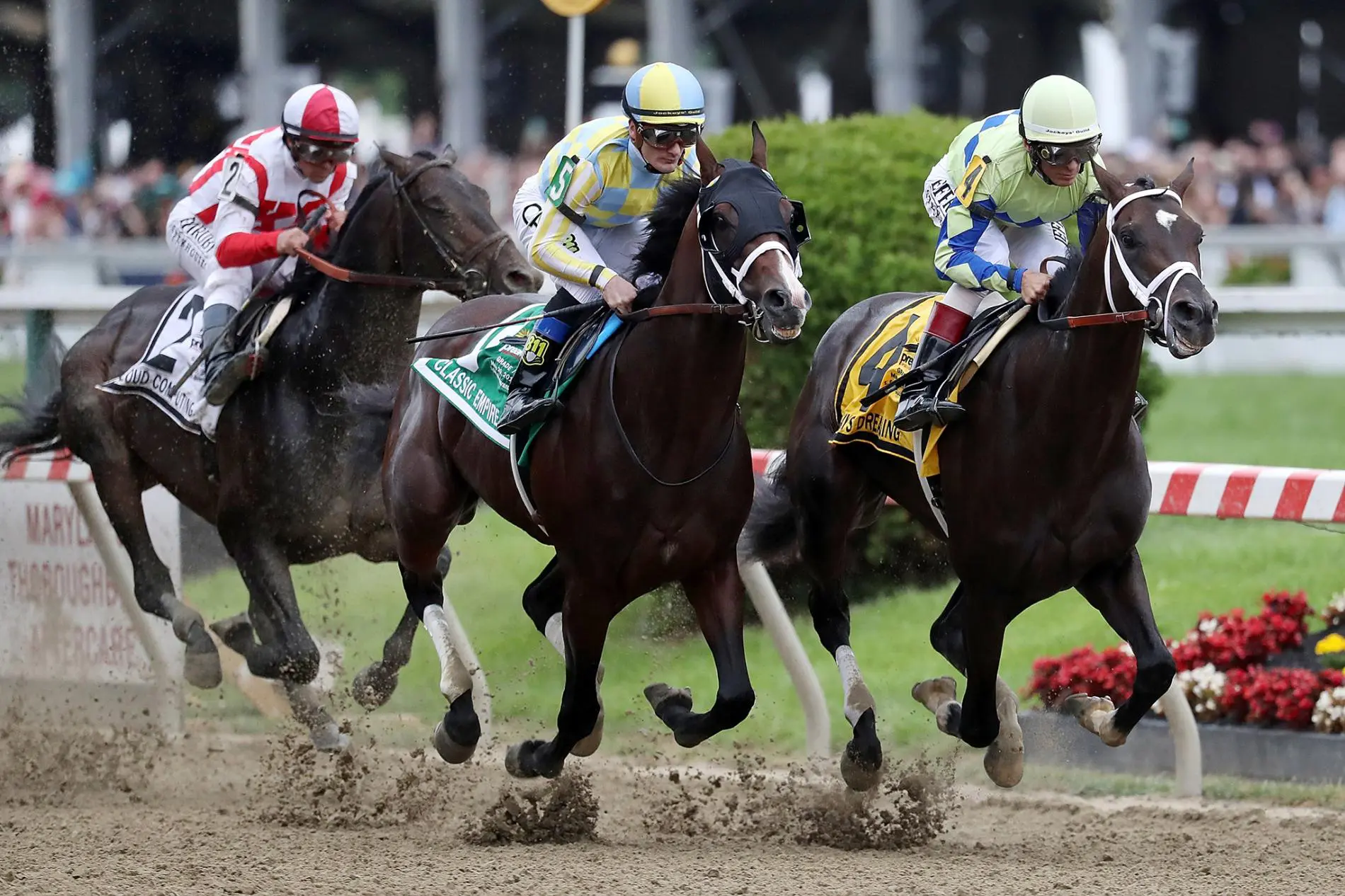 what is a boxed exacta betting quinella