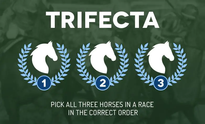 how much is a trifecta box