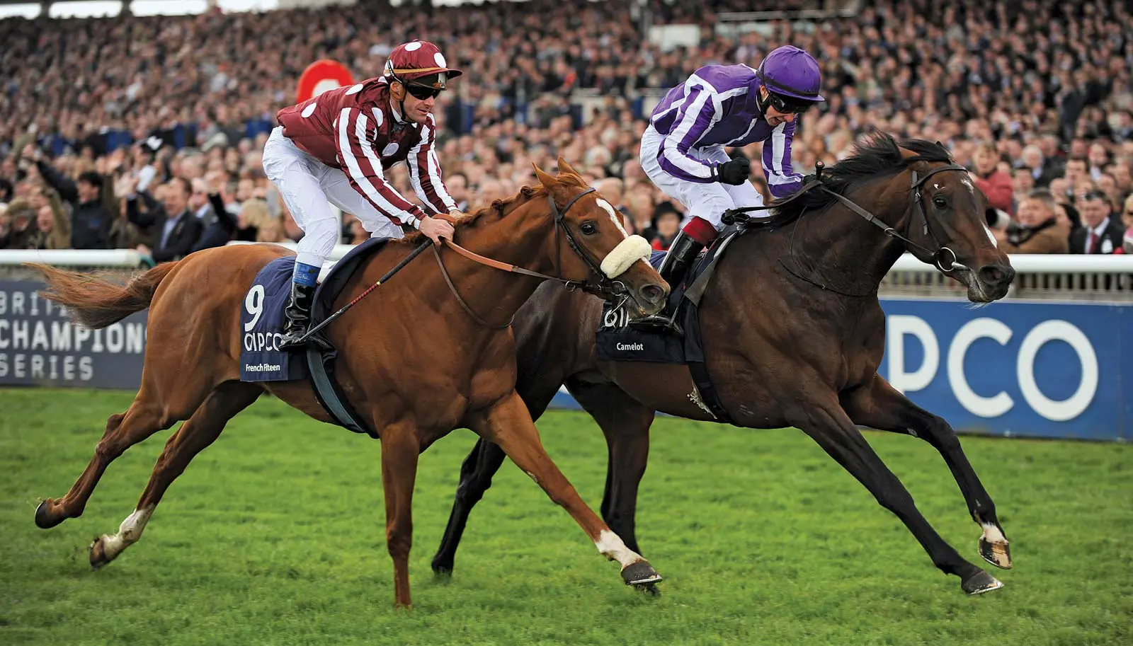 what is box quinella in horse racing