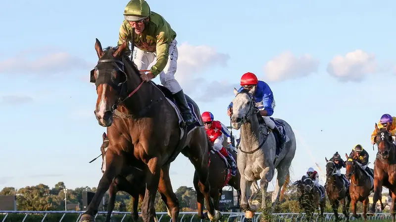 what is Melbourne Cup betting online guide