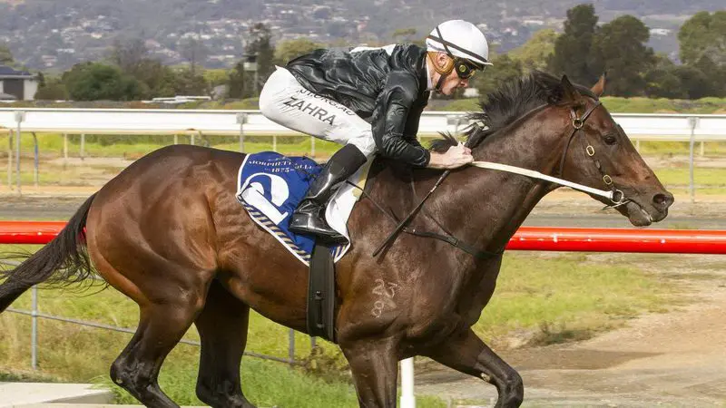 when where is the cox plate run