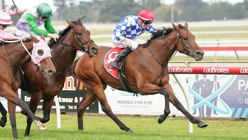 where to watch Melbourne Cup online