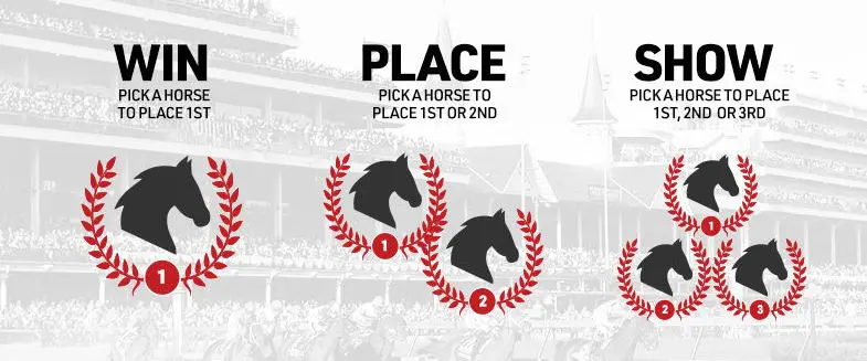what is an exacta payout box bet